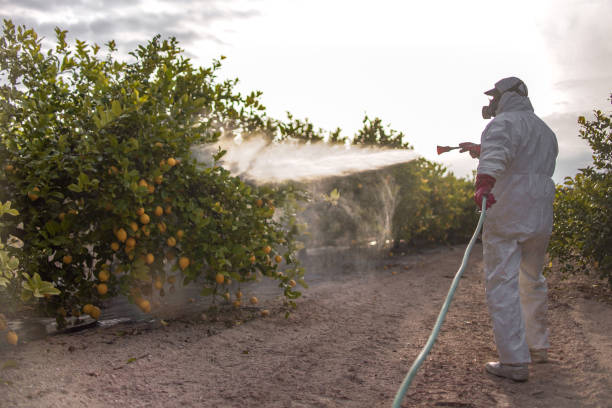 Best Pest Removal Services  in Summit, WA