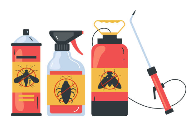 Professional Pest Control in Summit, WA
